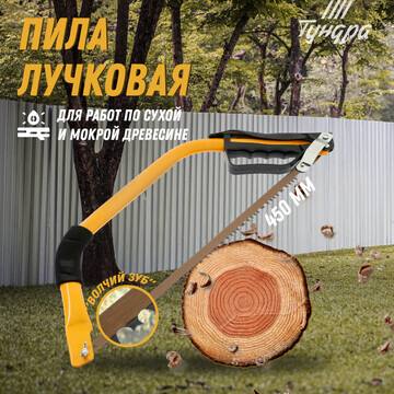 Пила лучковая тундра,