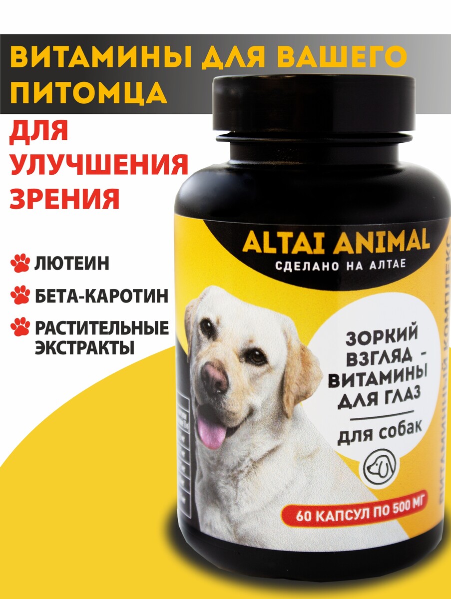 Зоркий взгляд питомца – витамины для глаз. для собак доппельгерц актив витамины для глаз с лютеином капсулы 800мг 30