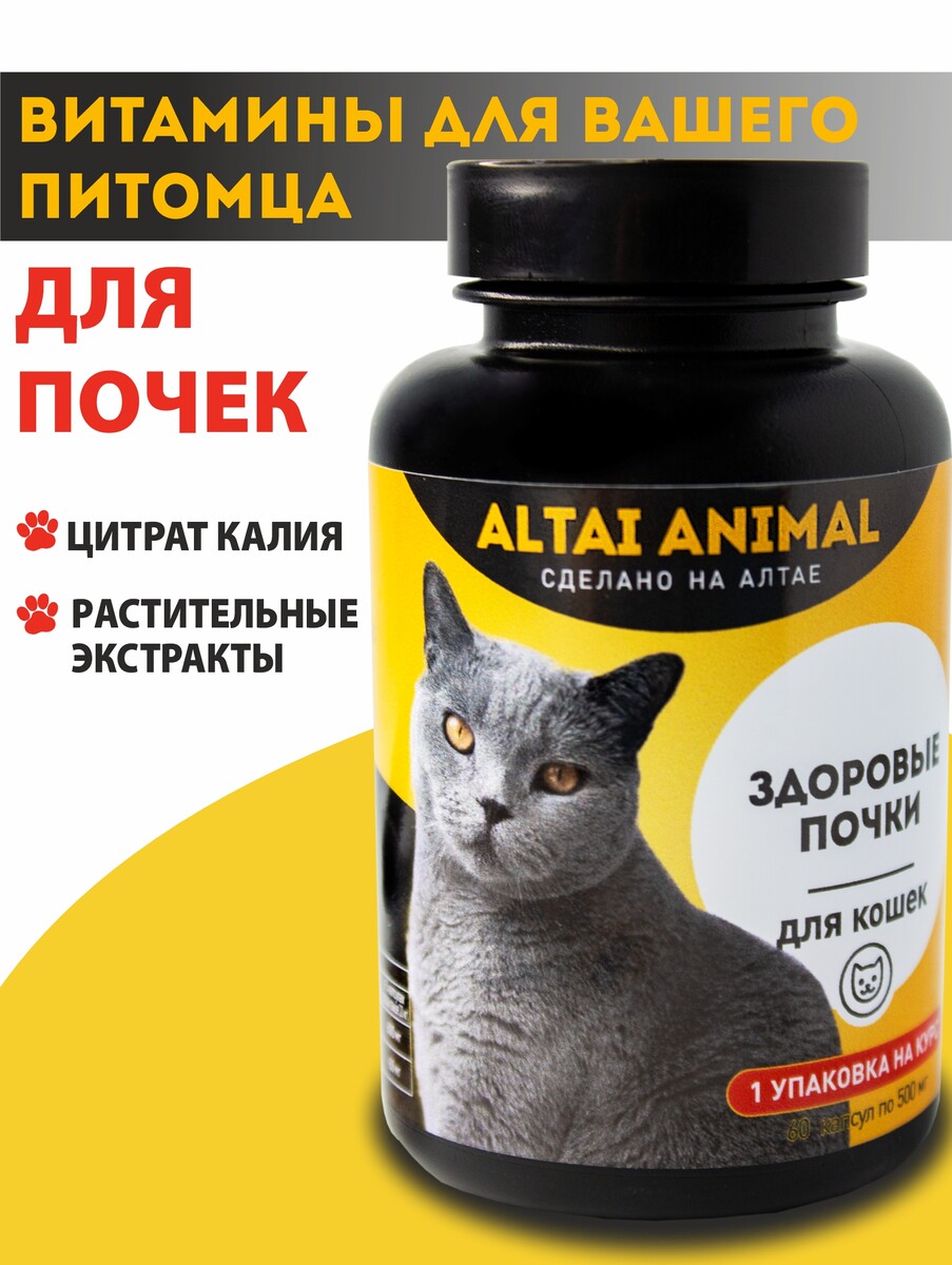 Здоровые почки. для кошек коктейль детокс с облепихой здоровые кости и суставы 100 г