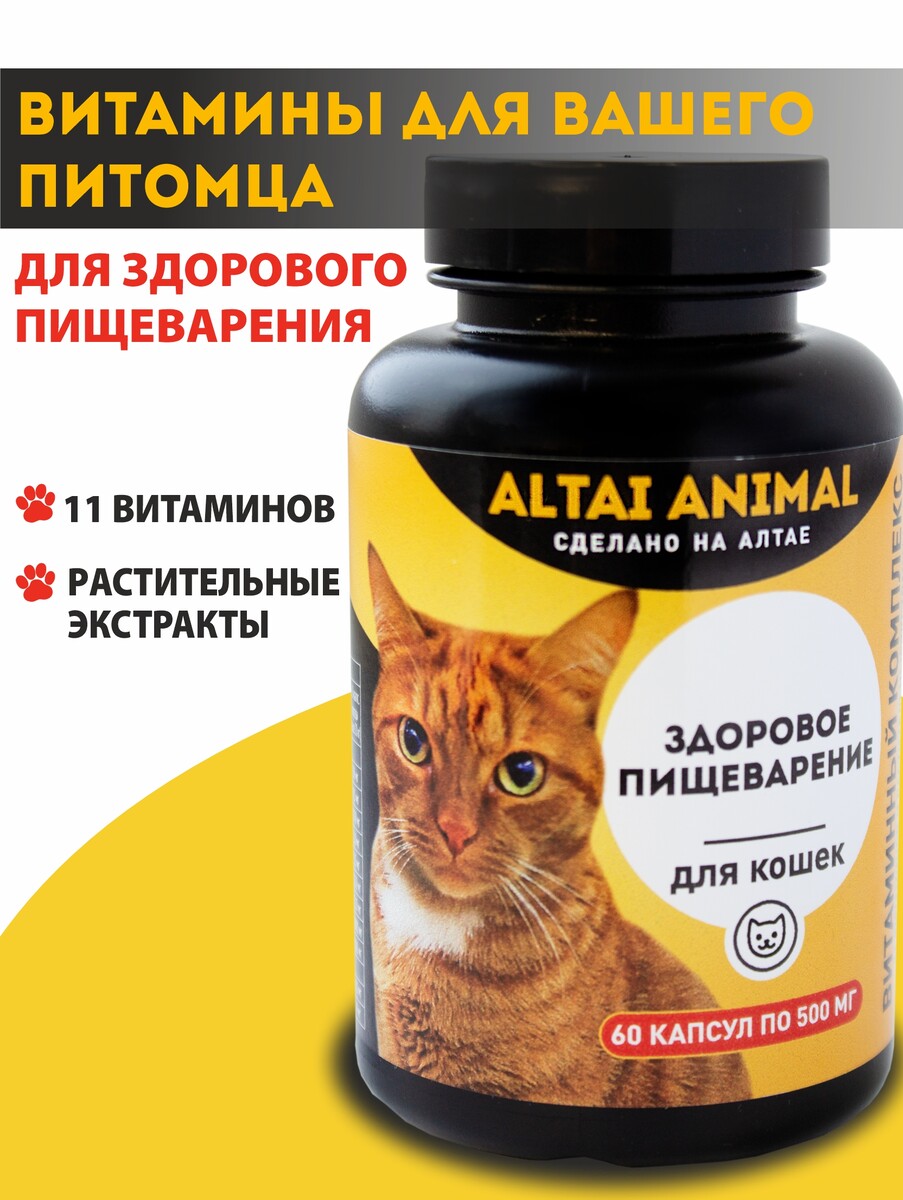 Здоровое пищеварение. для кошек заболевания желудочно кишечного тракта