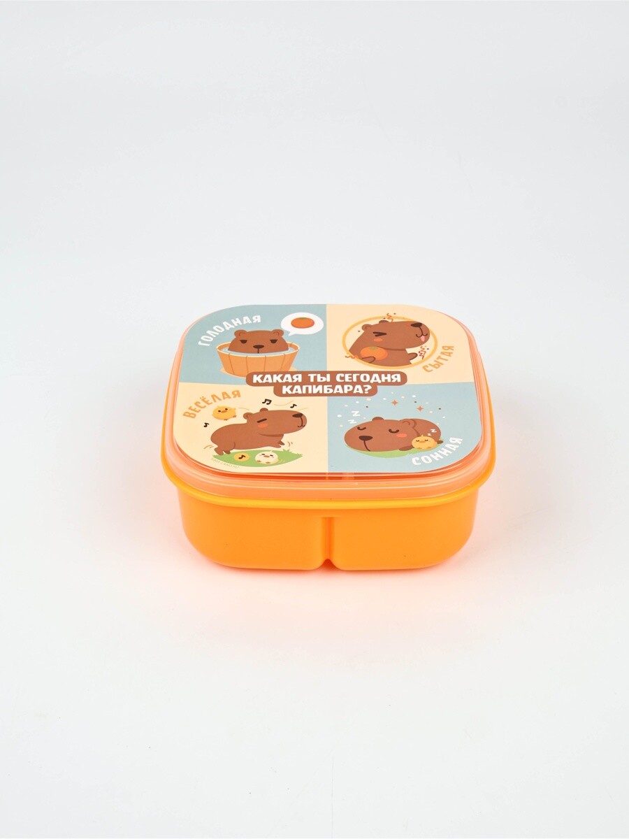 

Ланч - бокс квадратный с секциями, Голубой;бежевый