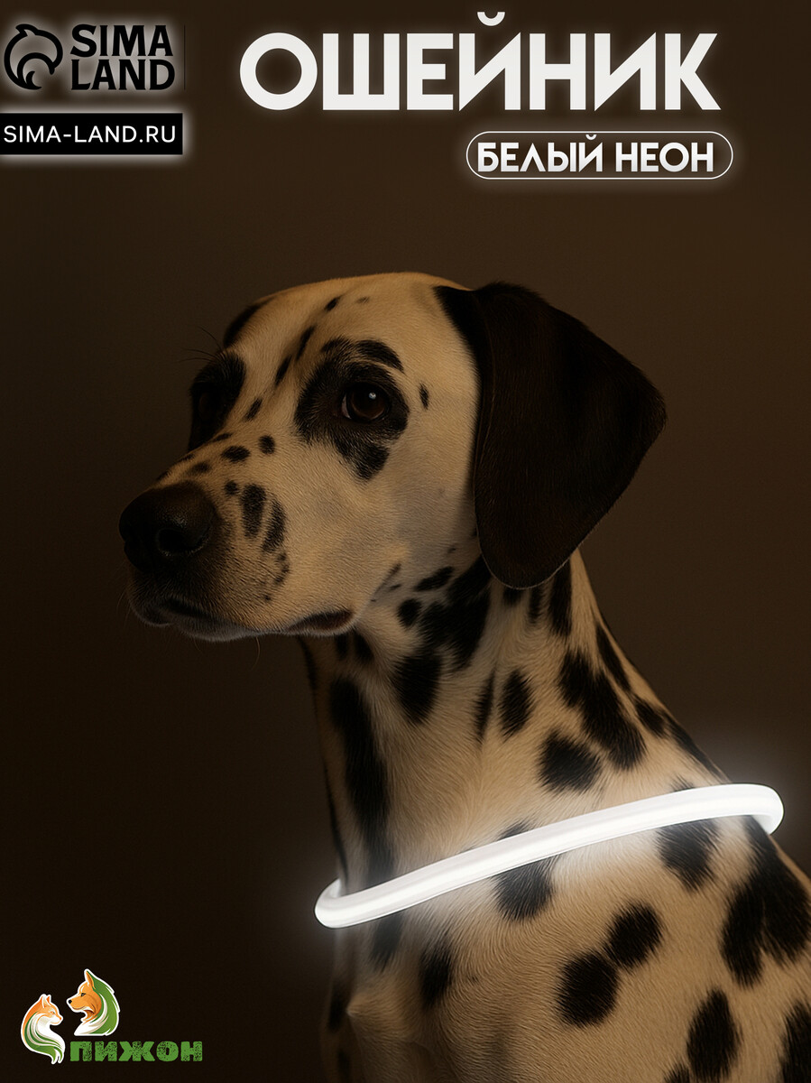 

Ошейник - кольцо с подсветкой, зарядка от usb, до 70 см, 3 режима свечения, мультицвет, Разноцветный