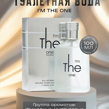 Туалетная вода мужская i'm the one, 100 