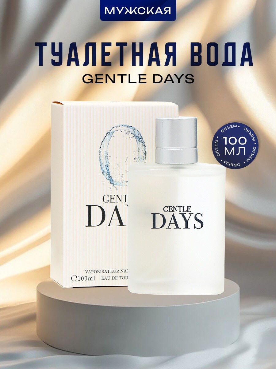 

Туалетная вода мужская gentle days, 100 мл