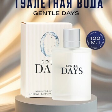 Туалетная вода мужская gentle days, 100 