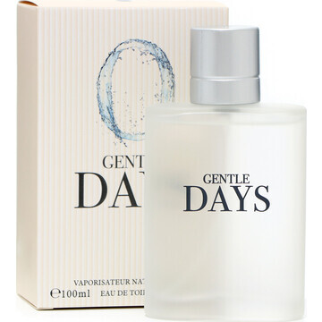 Туалетная вода мужская gentle days, 100 