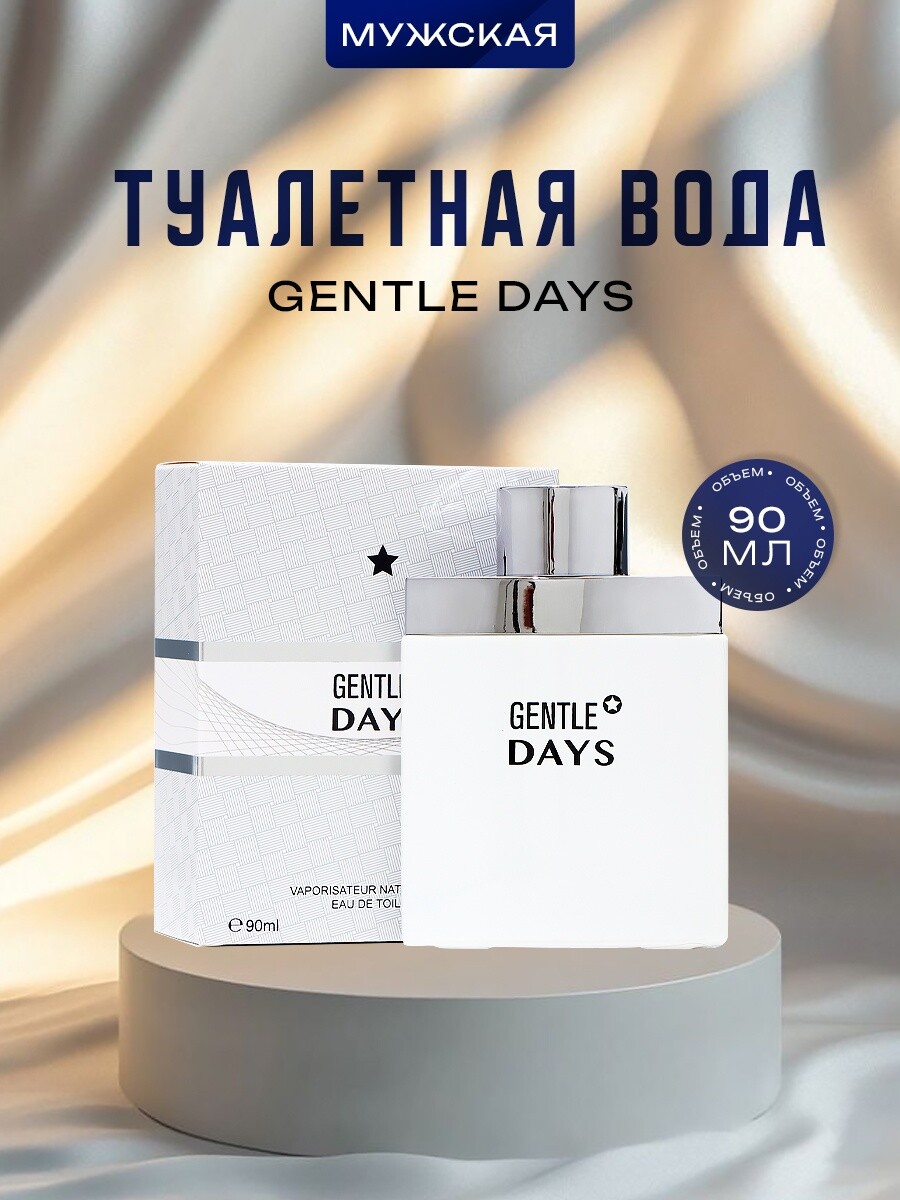 

Туалетная вода мужская gentle days, 90 мл