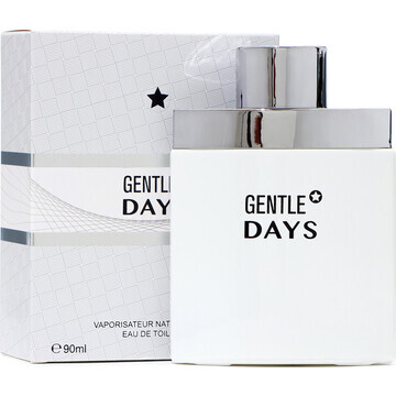 Туалетная вода мужская gentle days, 90 м