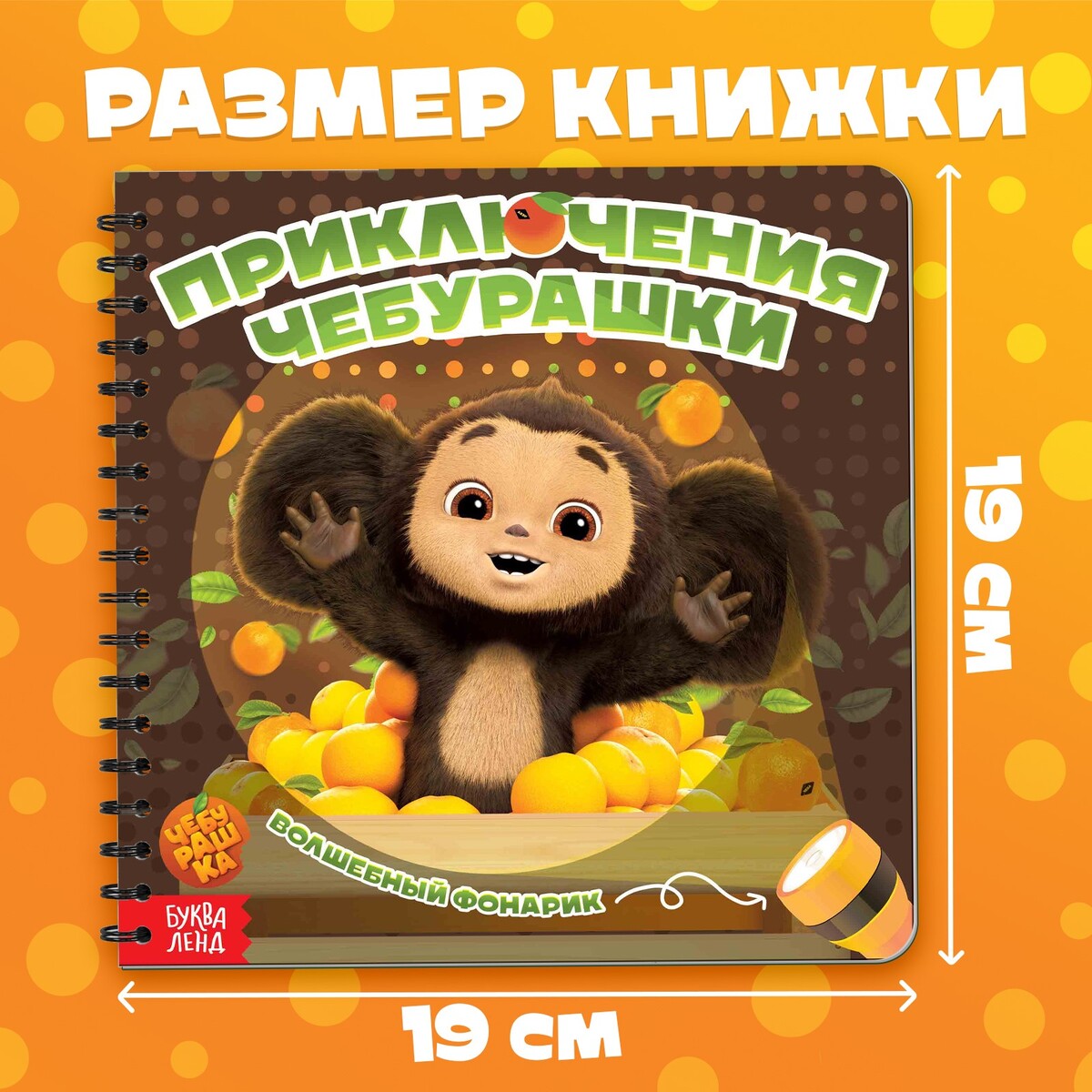 

Книга с волшебным фонариком