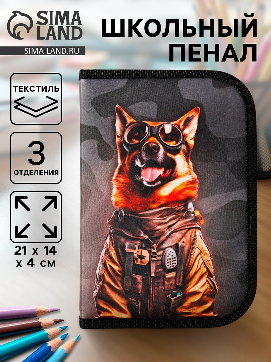 

Пенал школьный, 3 секции, 14×21×4 см, Серый;черный