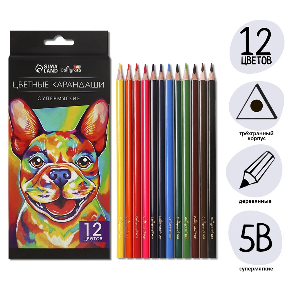Карандаши 12 цветов top calligrata, в картонной коробке, диаметр грифеля - 3мм, 5b карандаши 6 ов мини в картонной коробке