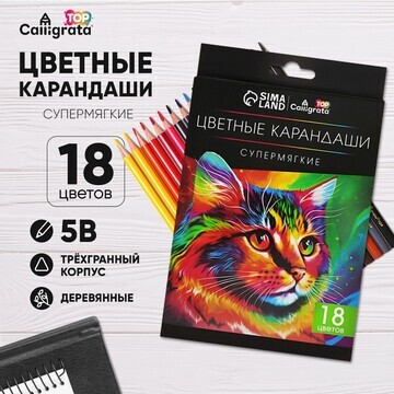 Карандаши 18 цветов top calligrata, в ка