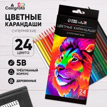 Карандаши 24 цветов top calligrata, в ка