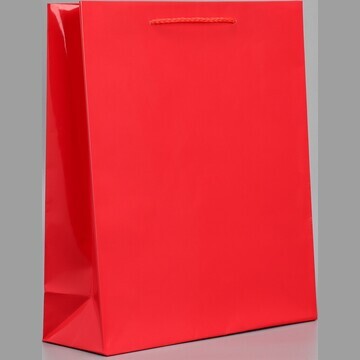 Пакет ламинированный red, m 24 х 29 х 9 