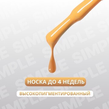 Гель лак для ногтей, однотонный, 3-х фаз