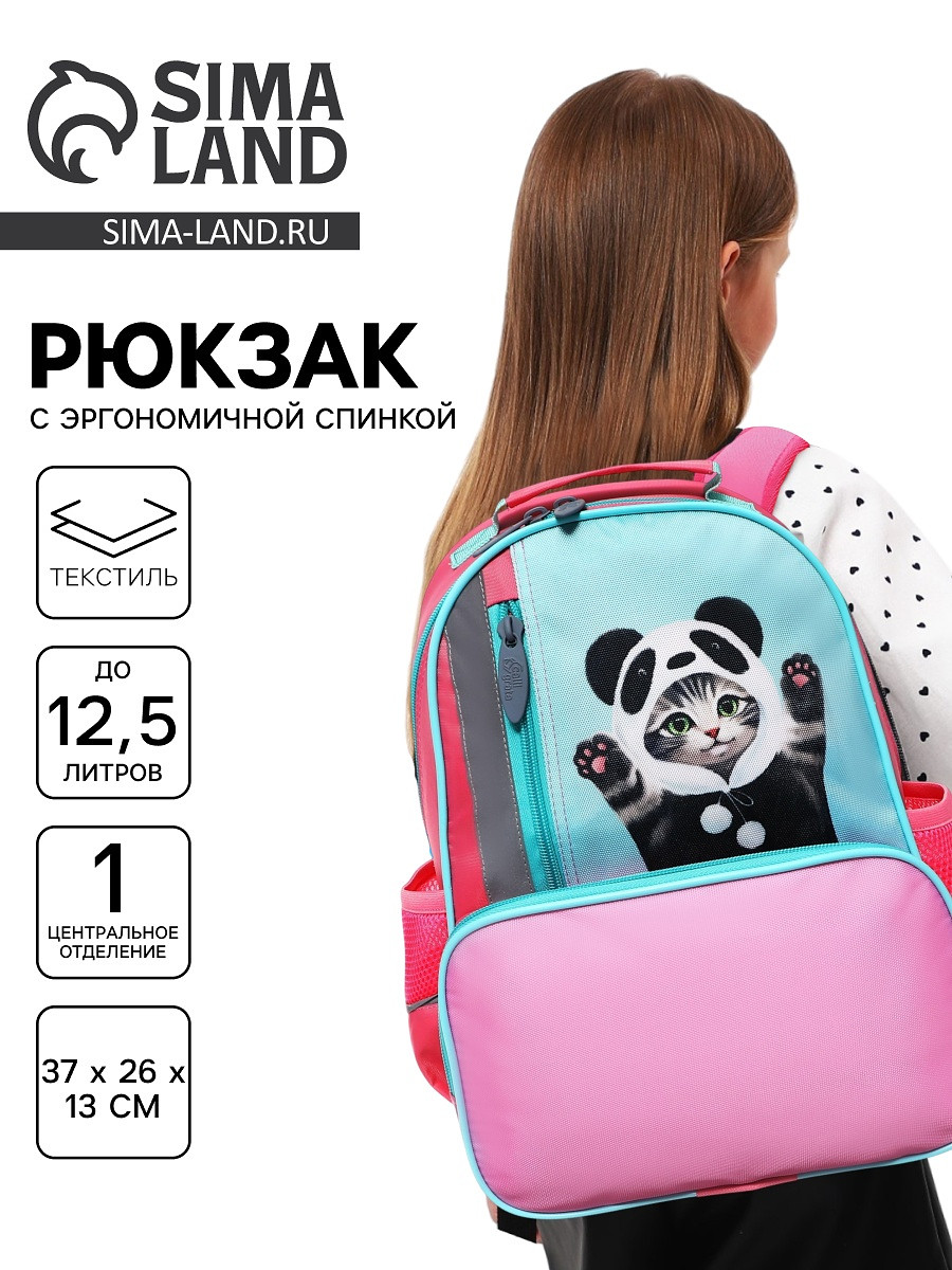 

Рюкзак школьный, эргономичная спинка, 37×26×13 см, Розовый;голубой