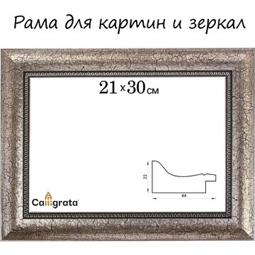 Рама для картин (зеркал) 21 х 30 х 4,4 с