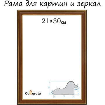 Рама для картин (зеркал) 21 х 30 х 2,0 с