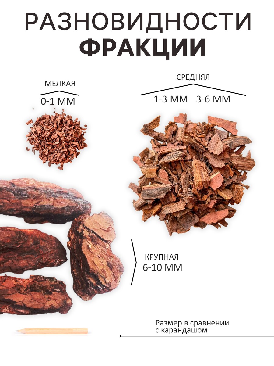 Кора сосны, Рецепты дедушки Никиты