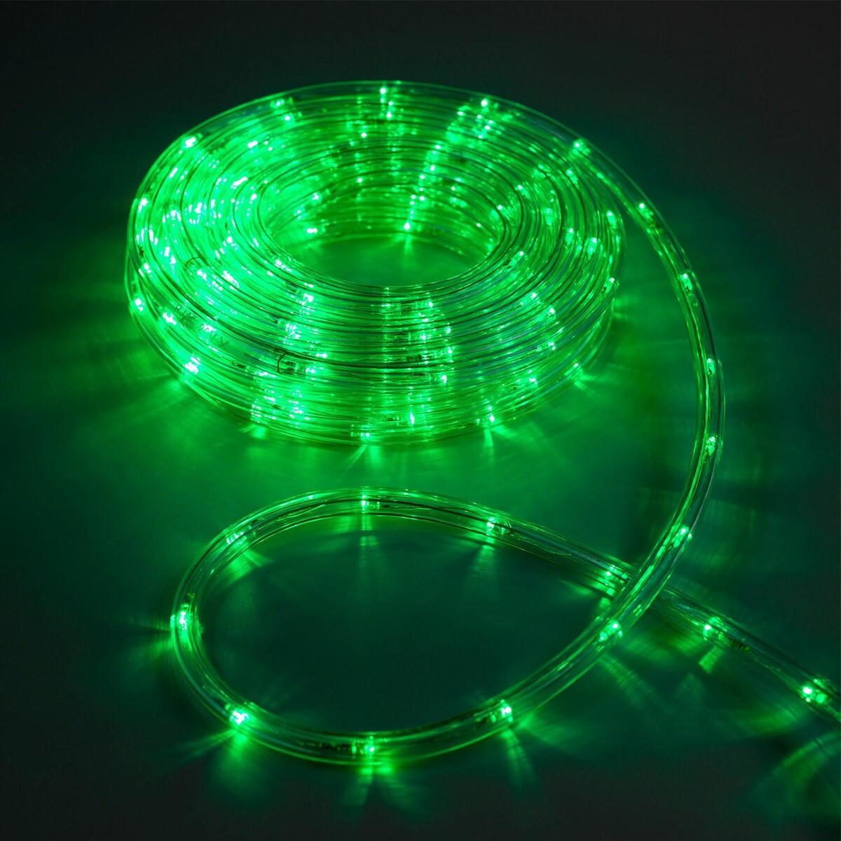 Световой шнур luazon lighting 10 мм, ip65, 10 м, 24 led/м, 220 в, 8 режимов, свечение зеленое Luazon Lighting