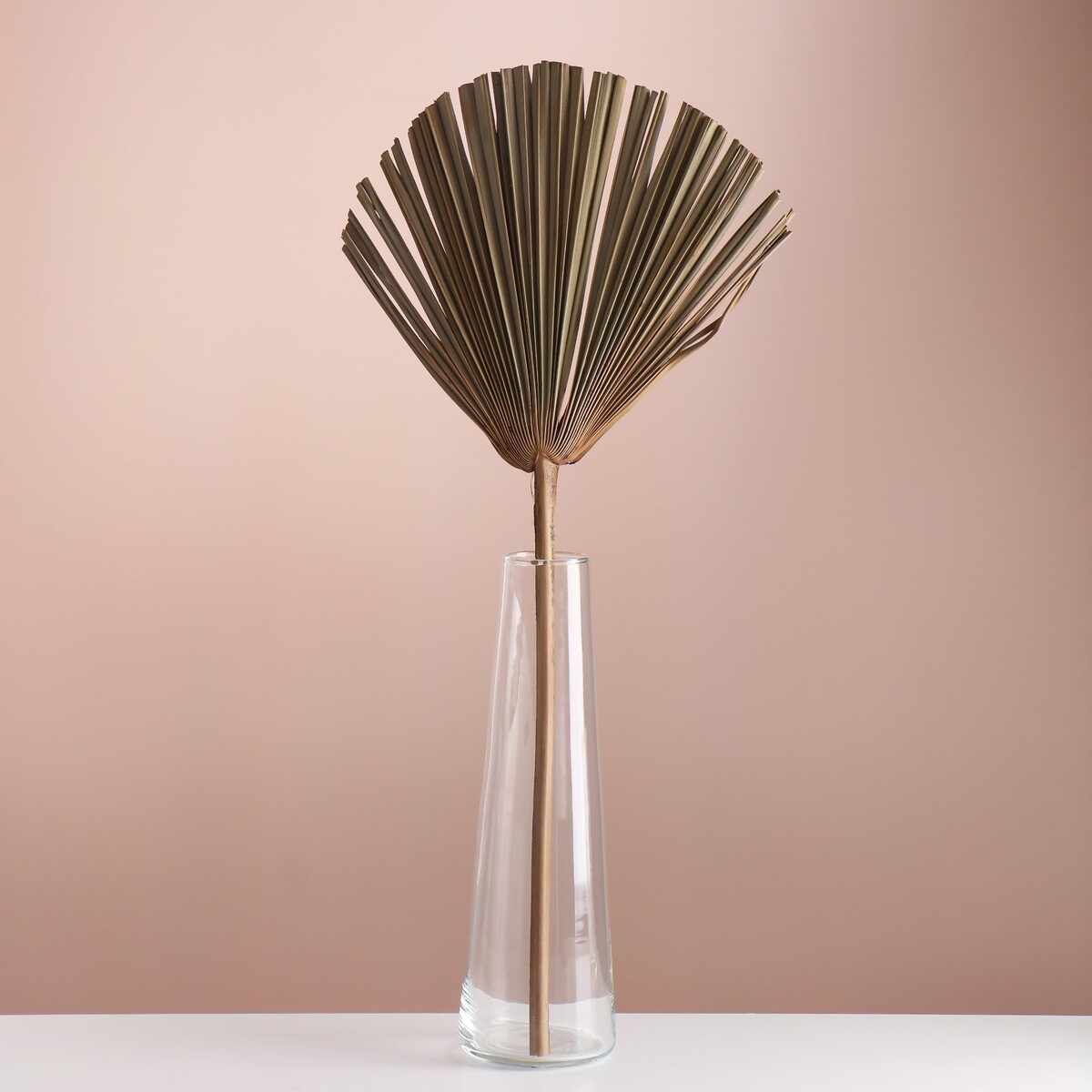 Лист пальмы вашингтония лист тефлоновый для выпечки 33 х 40 см nostik