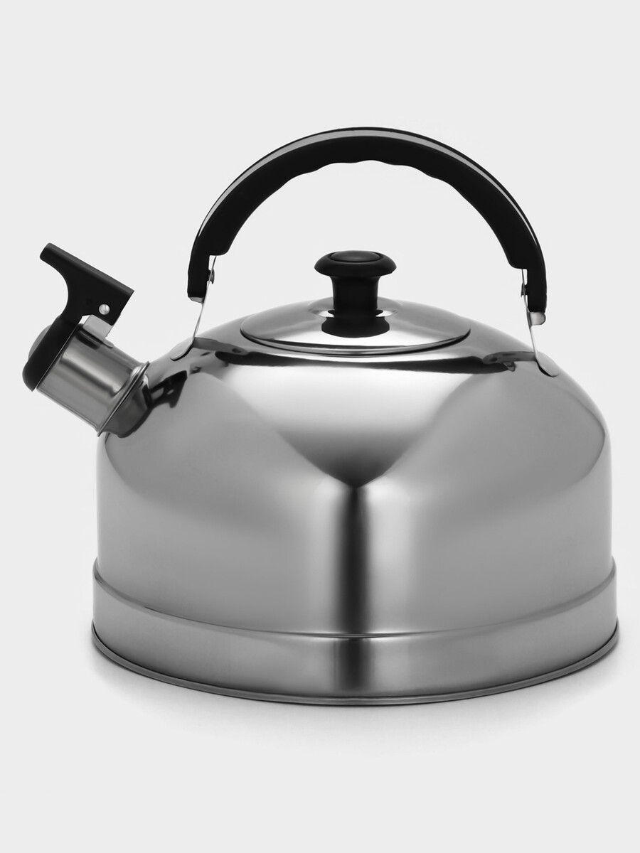 

Чайник, Серебристый