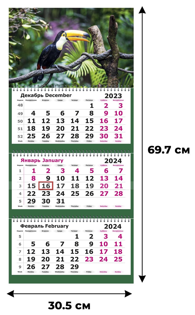 Календарь настенный 3-х блочный 2024, 305х697, тукан, 3 спир,80г/м2 Attache