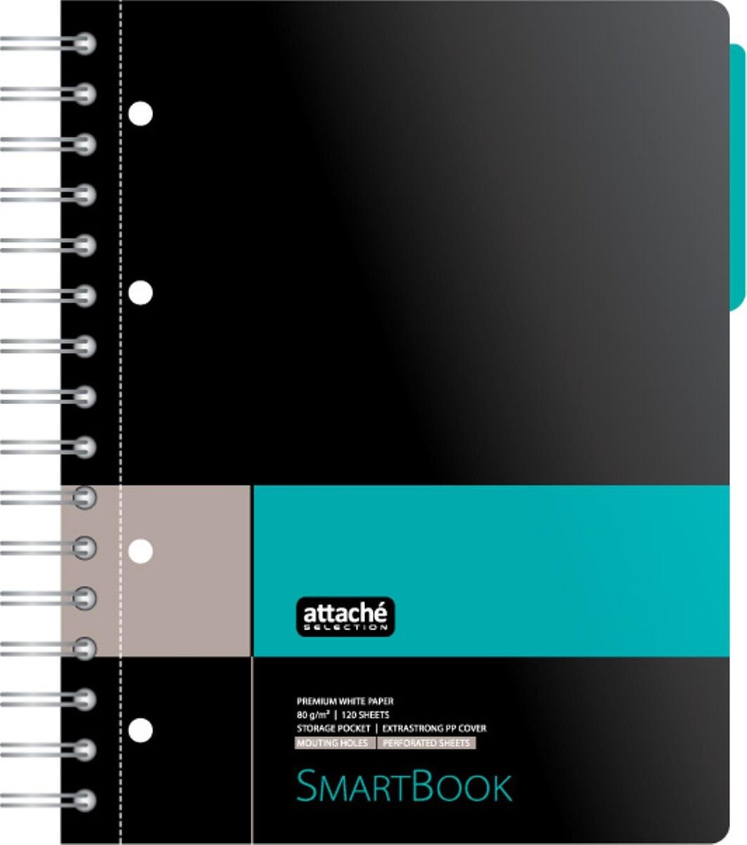 

Бизнес-тетрадь smartbook а5 120л. клетка,спир,микроп,разд,карм,сер-бирюз