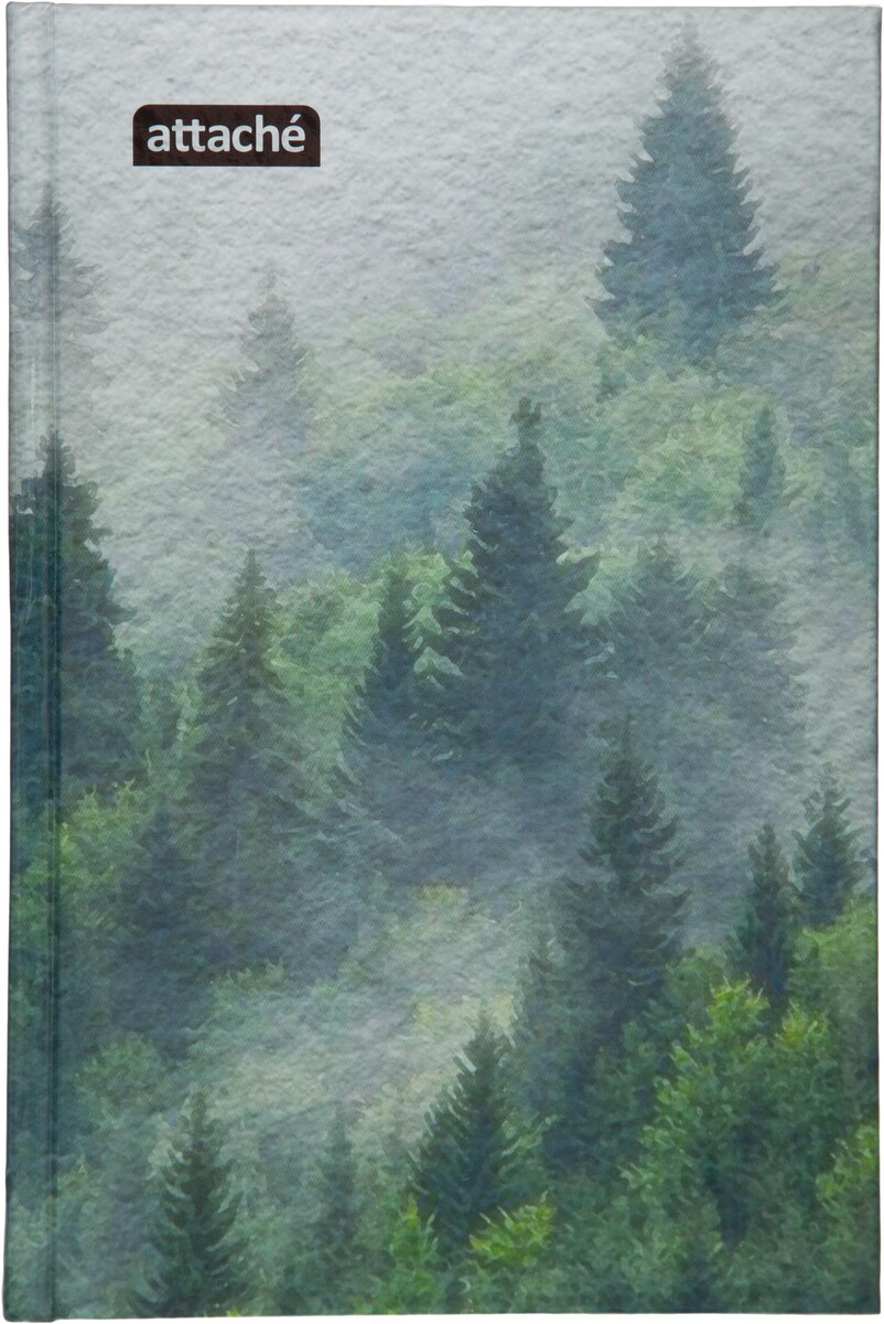 

Бизнес-тетрадь а5,120л,7бц,клетка attache economy forest