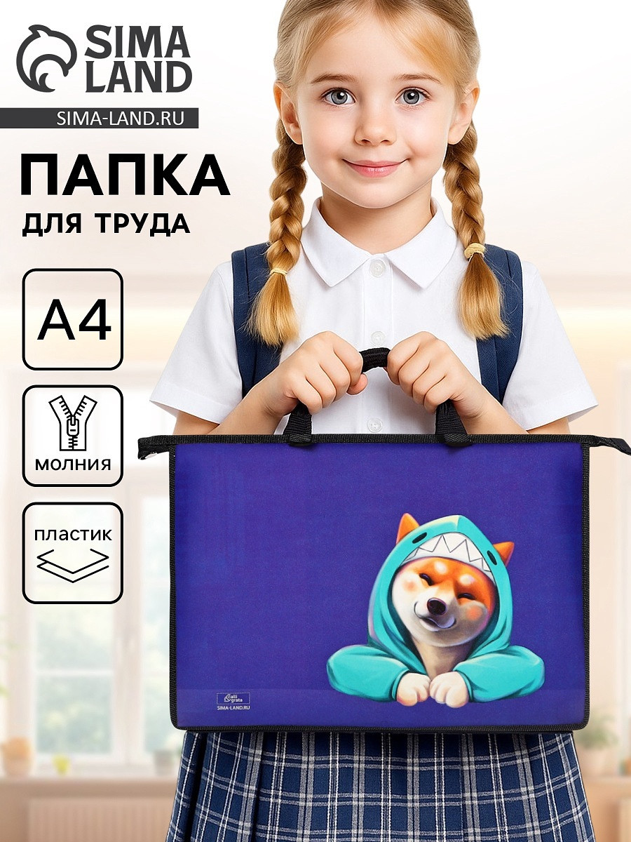 

Папка для труда, а4, пластиковая, 33.5×23.5×5.5 см, Черный;фиолетовый