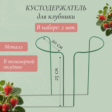 Кустодержатель для клубники, d = 20 см, 