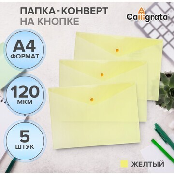 Набор папок-конвертов на кнопке 5 штук, 