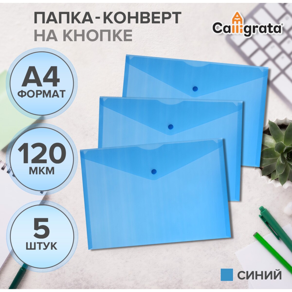 Набор папок-конверов на кнопке 5 шт. calligrata, а4, 120мкм, синий