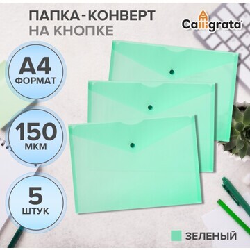 Набор папок-конвертов на кнопке 5 штук, 