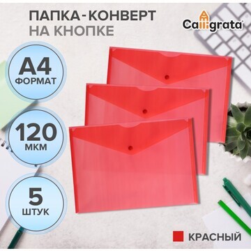 Набор папок-конвертов на кнопке 5 штук, 