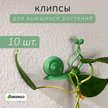 Крепления для вьющихся растений, настенн