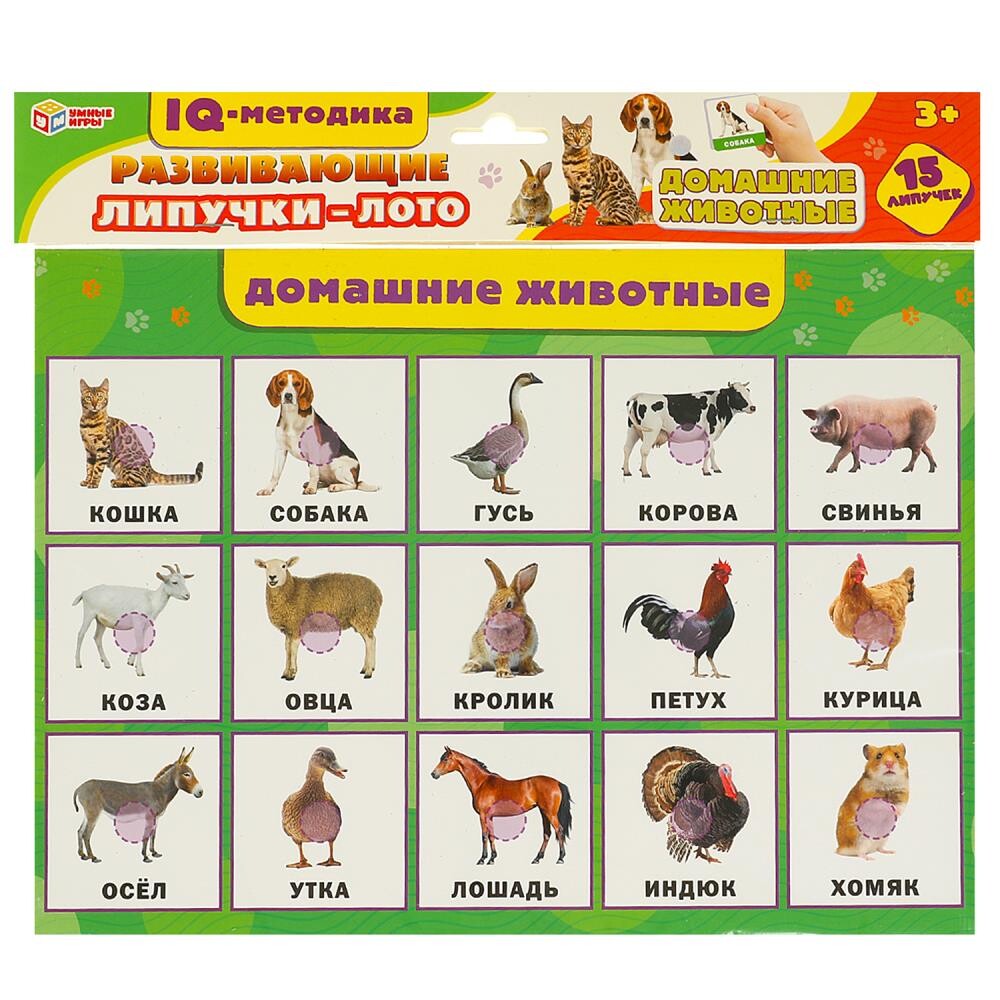 

Игра настольная Умные игры 4660254430495