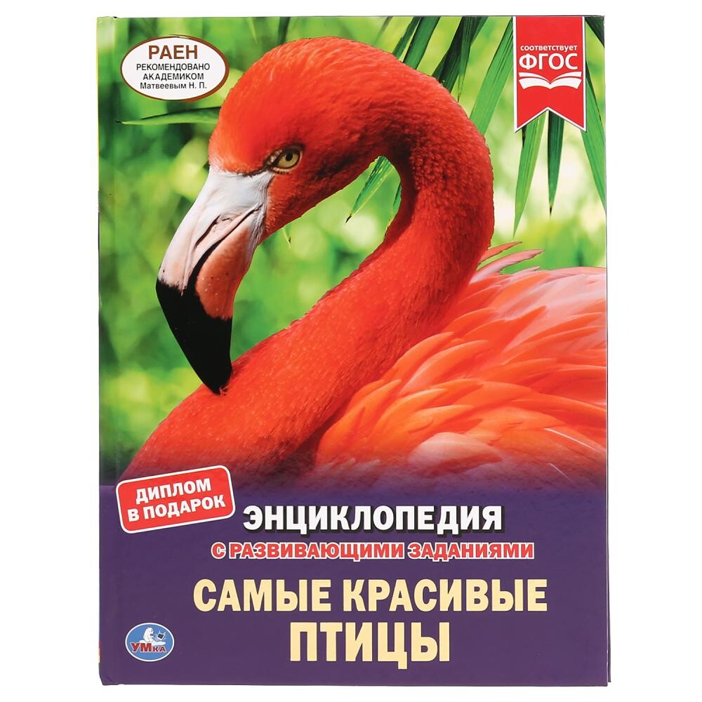 

Книга Умка 978-5-506-04304-1, Разноцветный
