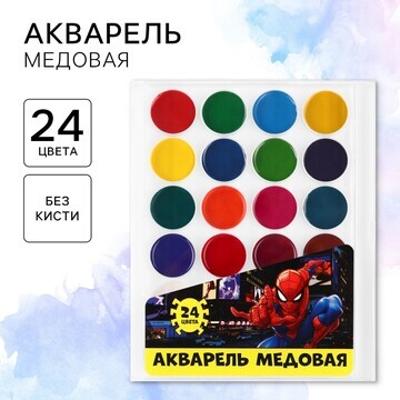 Акварель 24цв пластик,