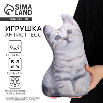 Антистресс игрушка, кот