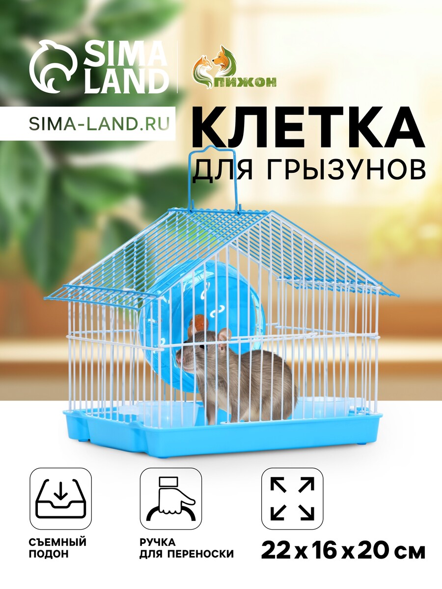 

Клетка для грызунов укомплектованная rt-2t, 22 х 16 х 20 см, голубая, Голубой