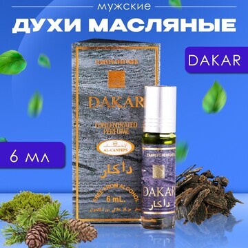 Духи масляные мужские aska, 6 мл