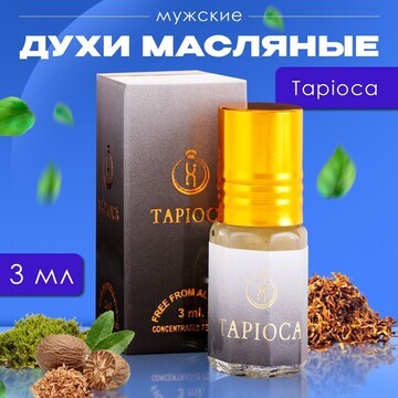 Духи масляные мужские tapioca, 3 мл