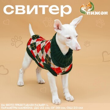 Свитер Пижон