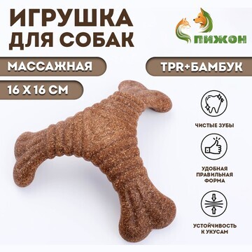 Игрушка для собак Пижон