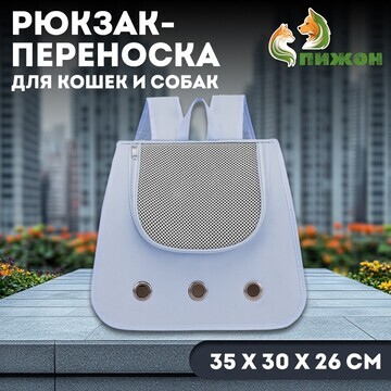 Рюкзак-переноска для кошек и собак, 35 х