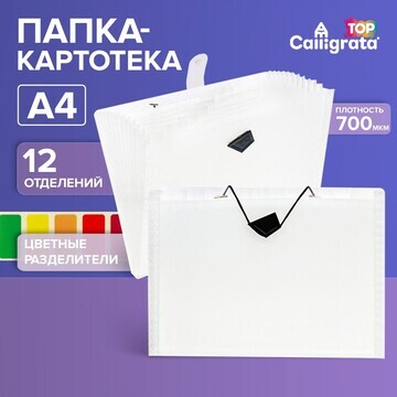 Папка-картотека а4, calligrata top delux