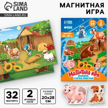 Магнитная игра