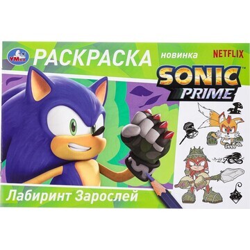 Раскраска Sonic, Умка 978-5-506-09689-4