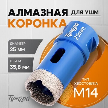 Коронка алмазная тундра, для ушм, 25 х 3